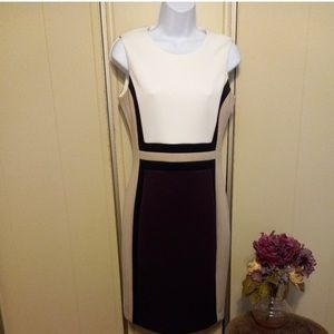 Calvin Klein colorblocked women's sheath Dress Size 6